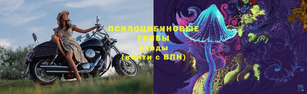 винт Алзамай