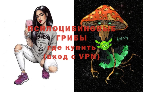 винт Алзамай