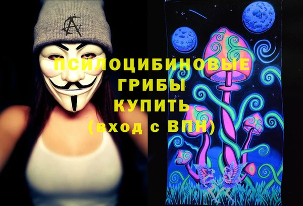 винт Алзамай