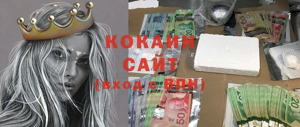 винт Алзамай
