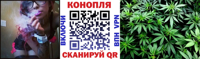 Шишки марихуана марихуана  Шелехов 